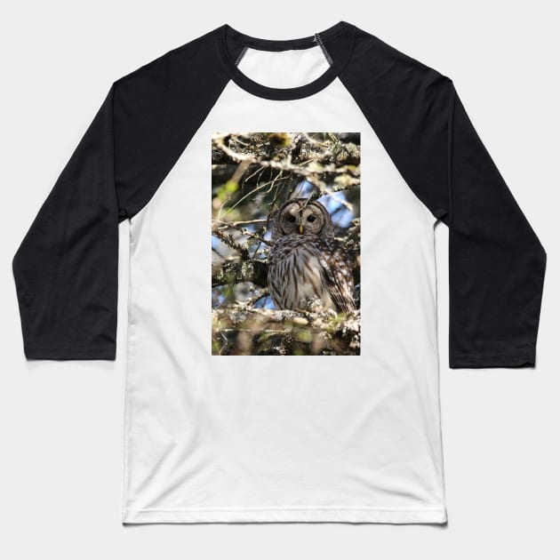 Barred owl beauty Baseball T-Shirt by SandiLin